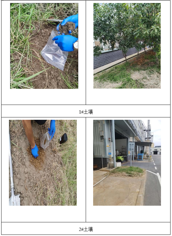 &#20061;&#28216;
