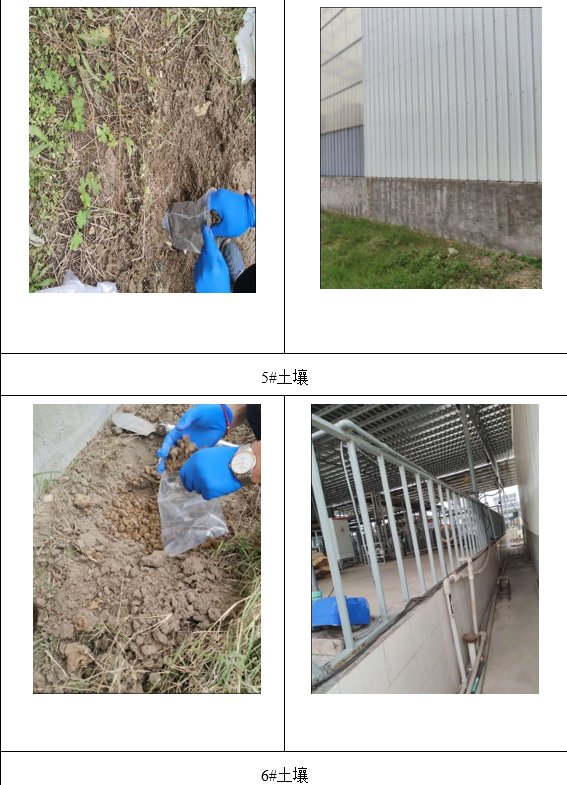 &#20061;&#28216;